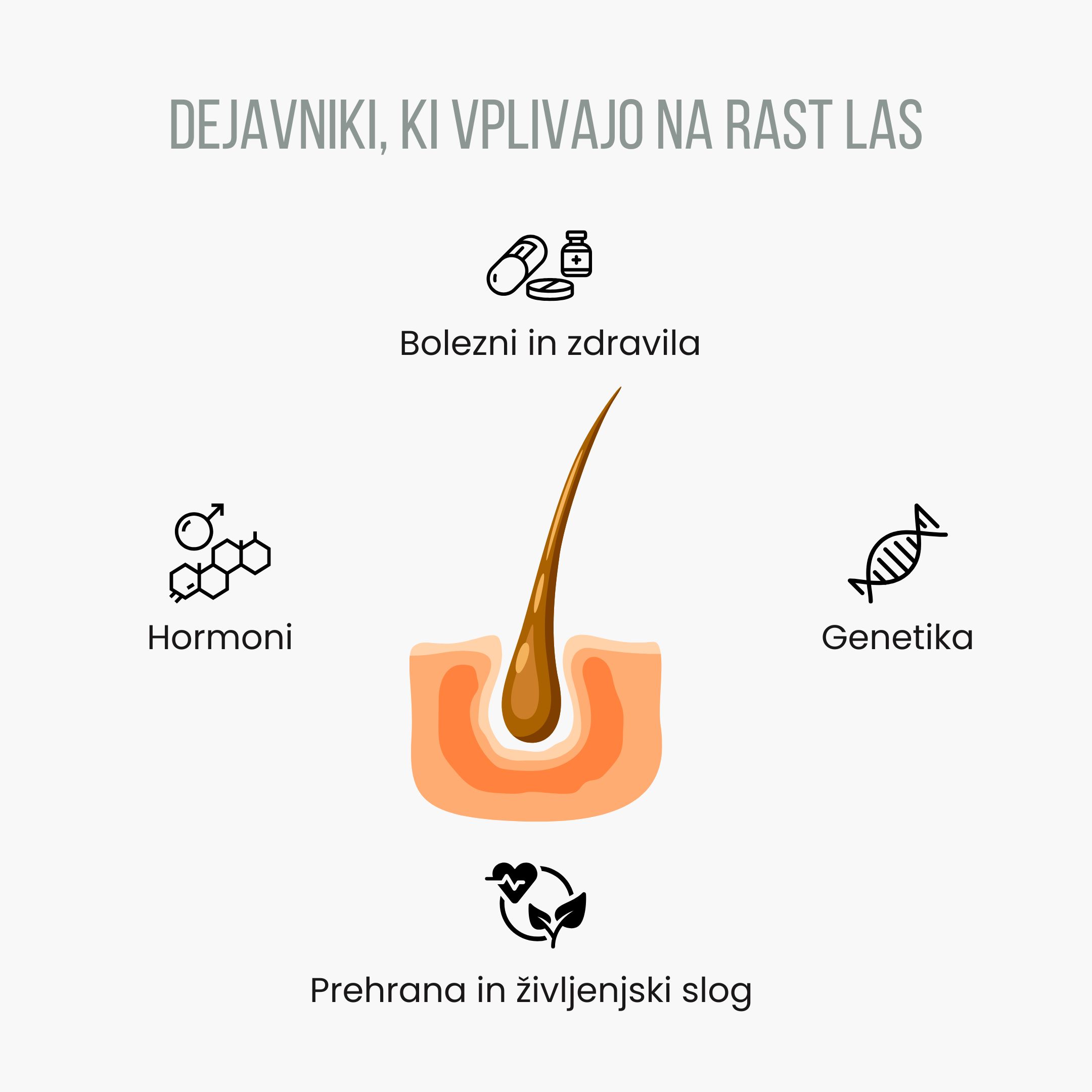 (Slovinština) Faktory ovlivňující růst vlasů